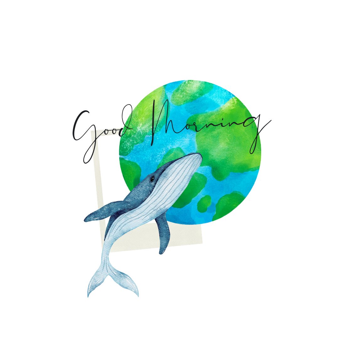 Wise Whales (@wisewhales) on Twitter photo Gmgm
Happy Thanksgiving to all Canadians ๐ฆ ๐จ๐ฆ Gmgm
Happy Thanksgiving to all Canadians ๐ฆ ๐จ๐ฆ
