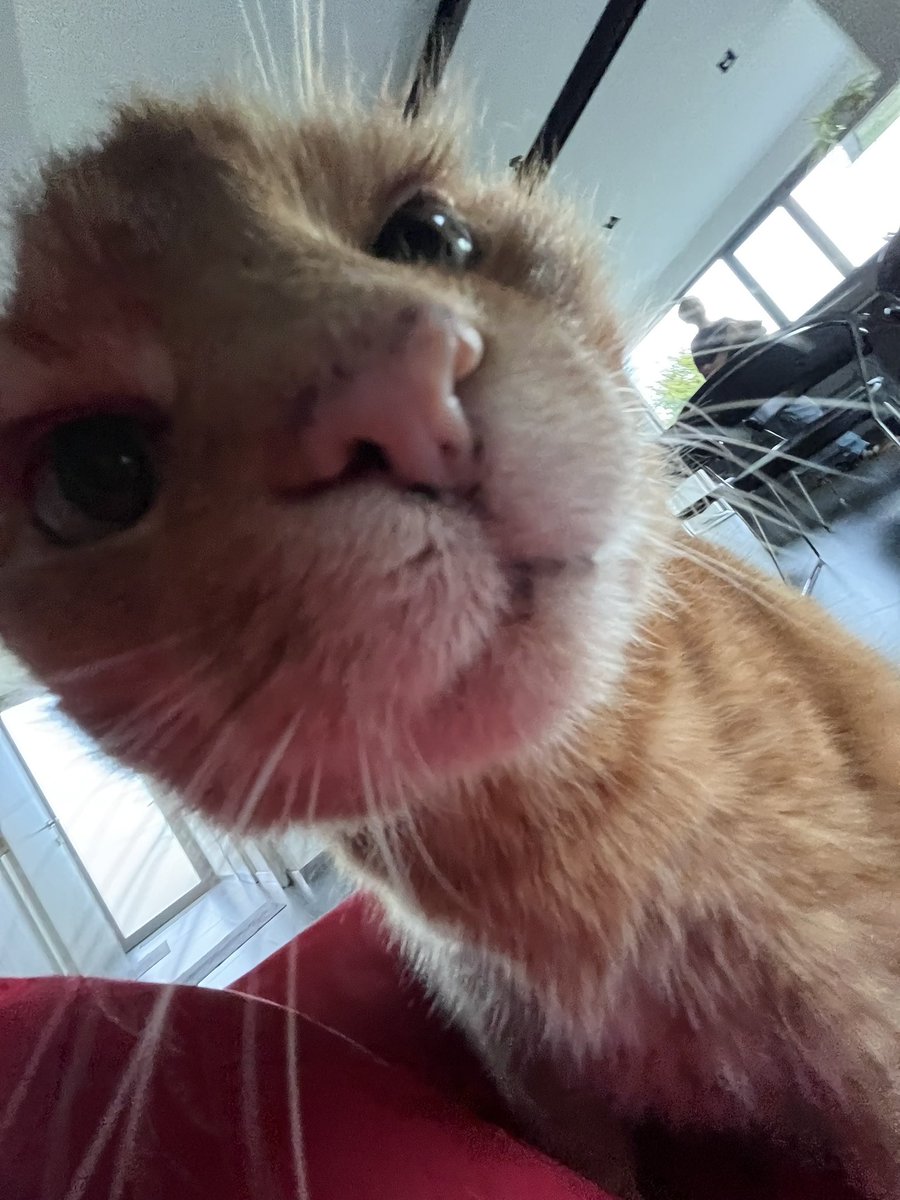 ChonklordF's tweet photo. Do you agree? Why/why not? https://t.co/JR1jXhP09l