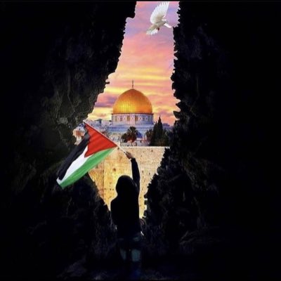 We stand with Palestine brother during the critical situation may Allah bless on Palestine and help of them..🇪🇭🇪🇭