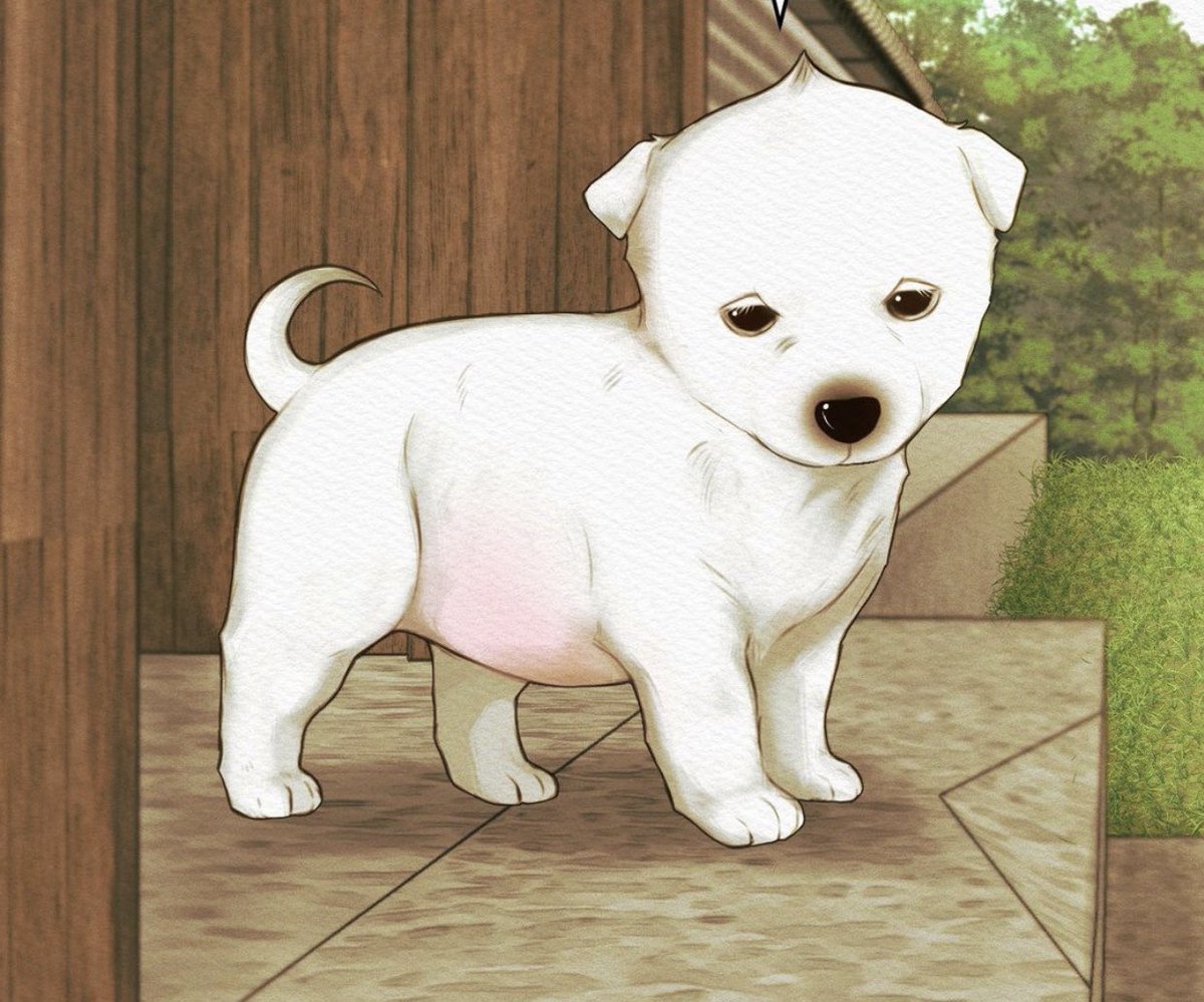 Ahí está,  observando a los presentes con cara de sueño.