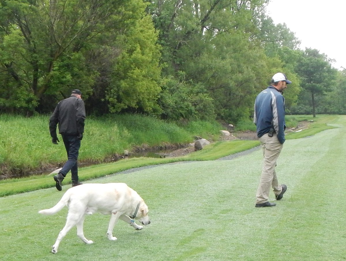 Brian Mavis tweet media