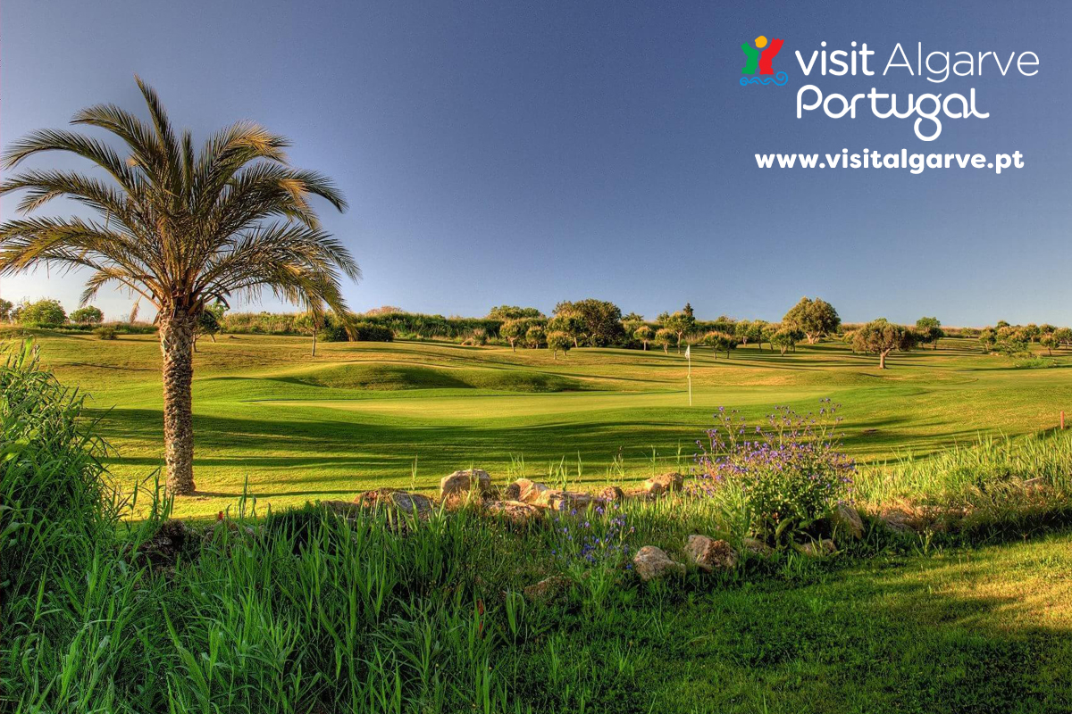 Golf Escapes tweet media