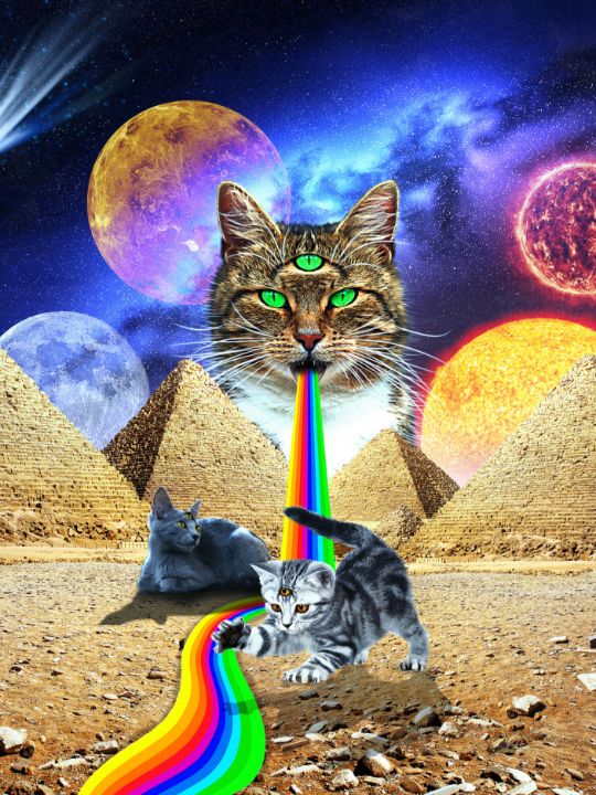 JukaArts's tweet photo. Egypt Three-Eyed Mystic Kittens 👇🙌
https://t.co/Dh3YJzjI2g

More 👇👌
https://t.co/iirhR8XUj0

#Egypt  #fantasy #kittens #cats #thirdeye #spiritualawakening #spirituality #SPIRITUAL #3eyes #trippy #Egyptian #pyramid #Mystic #galaxy #Universes https://t.co/l5HIoIkAUm