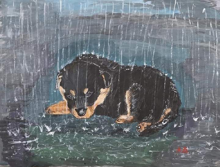 ✨Si usted es de las personas que tienen perros fuera de casa
✨Si lo tiene encadenado en el patio 
✨O si piensa que poniendo un plastico o una sombrilla remedia todo...esta muy equivocado.

Pongase la mano en el corazón y proteja ese animalito que cree y confia en usted.