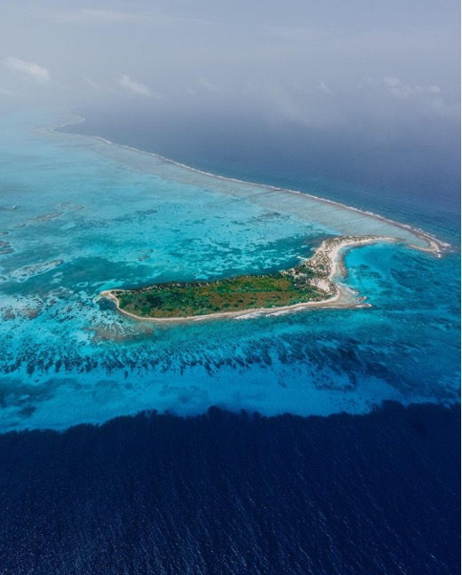 With its crystal clear blue waters, this paradise is sure to leave you in awe🩵. Make sure to add Half Moon Caye to your travel bucket list for an unforgettable experience🏝️! #TravelBelize
📸: @viajaconnosotrosgt
📍: Half Moon Caye