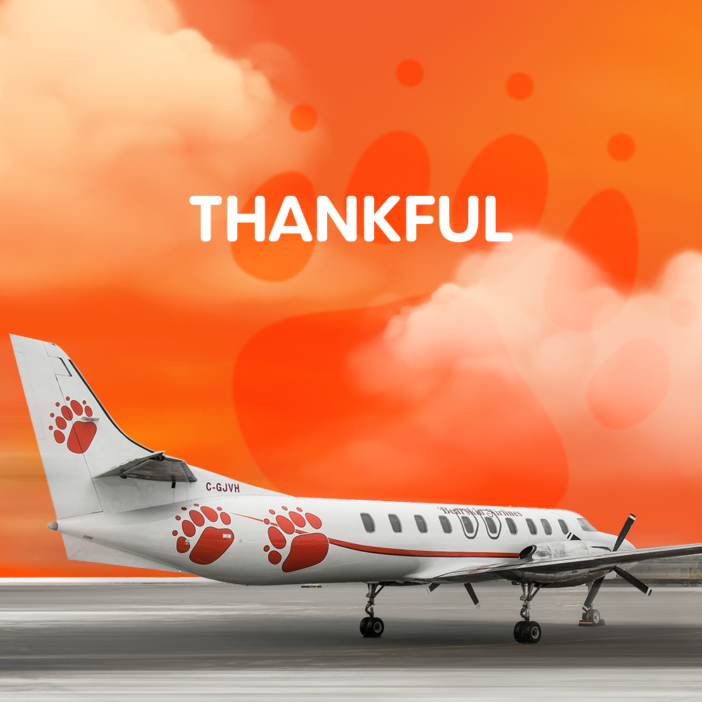Happy Thanksgiving! ✈️🍂

As we gather around tables filled with gratitude, we want to extend our heartfelt appreciation to our passengers. We're thankful for each mile you've flown with us, and every memory we've created along the way. Thank you for flying Bearskin Airlines.