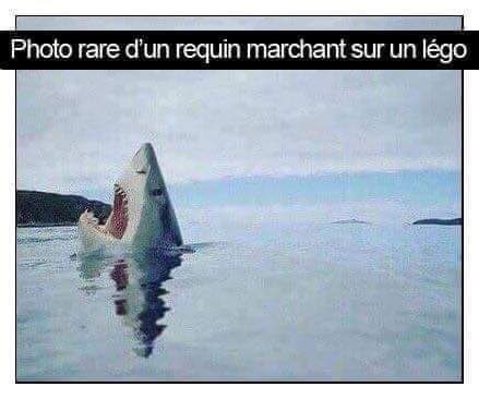 ComplotsFaciles's tweet image. #NousSachons  (redif)