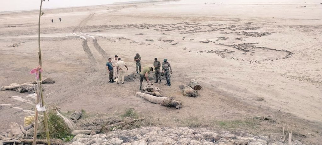 CBR_Police's tweet photo. On 08.10.23, Army personnel blasted rocket launcher shells &amp; other shells which were recovered &amp; guarded by Police at Teesta Char, PS Mekhliganj, Coochbehar.
#coochbehardistrictpolice #WBPD https://t.co/GHtrQeHUED