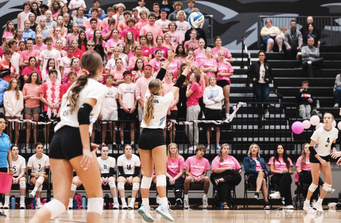 ENHSWolfPack's tweet photo. VOLLEYBALL🏐

@elknorth_vb 🆚 Norris
📍Elkhorn North
🗓️Tuesday, October 10th
⏰6:30pm

THEME: PINK🎀 https://t.co/YtK1880lH4