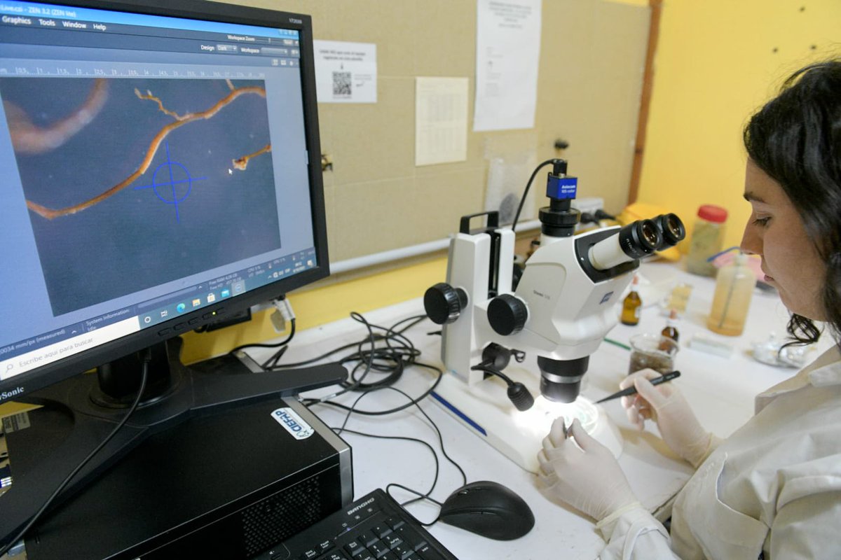 innovacionar's tweet image. ⛰️Vinimos a Esquel, #Chubut, a visitar el @Ciefap_ un centro de investigación que promueve el valor agregado en origen resguardando la biodiversidad y los recursos forestales. 🌳
🗺️Invertimos  $400 millones de pesos para ampliar su alcance a todas las provincias patagónicas.