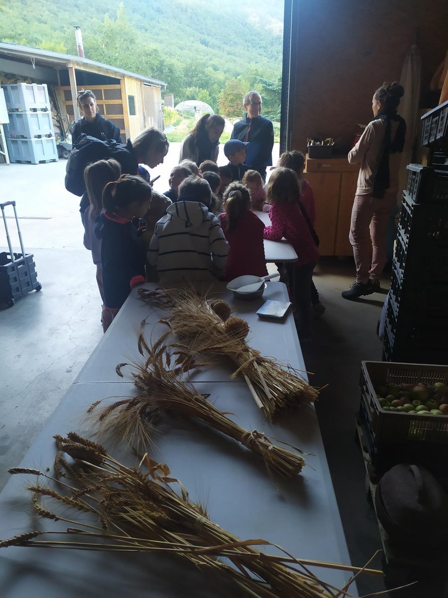 msa072642's tweet photo. 📣Les élèves de l'école primaire de St Marie de Chomérac (07) ont été reçus dans une exploitation de céréales, à La Vernatelle  + visite d'une coopérative dans le cadre de l'action commune des élus de la #MSA, pour leur faire découvrir le monde des céréales. #ActionCommune https://t.co/PDBHPzE6o8
