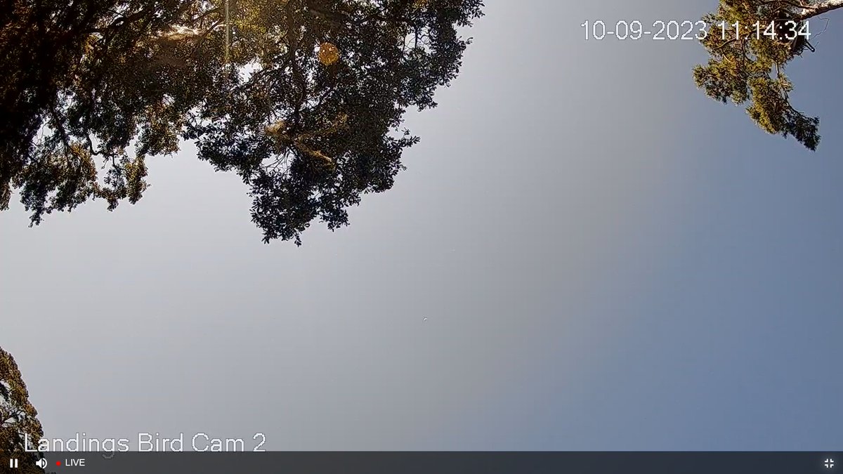 11:14 10/9 Things are looking up