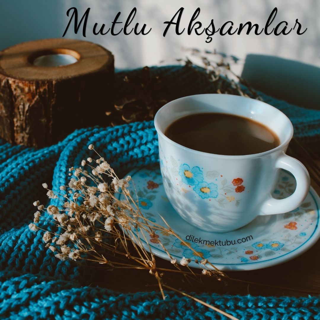 Allah’ım, zoru muzu kolay kıl. Uzakları mızı yakın kıl. Rızkımızı helalinden kıl. Sevgimizi, sağlığımızı daim kıl. Gecenin karanlığına girerken sıkıntılarımızı sil. Bizi kazasız ve belasız gündüzün aydınlığına çıkardıklarından kıl. Âmin 
#Hayırlı_akşamlar olsun