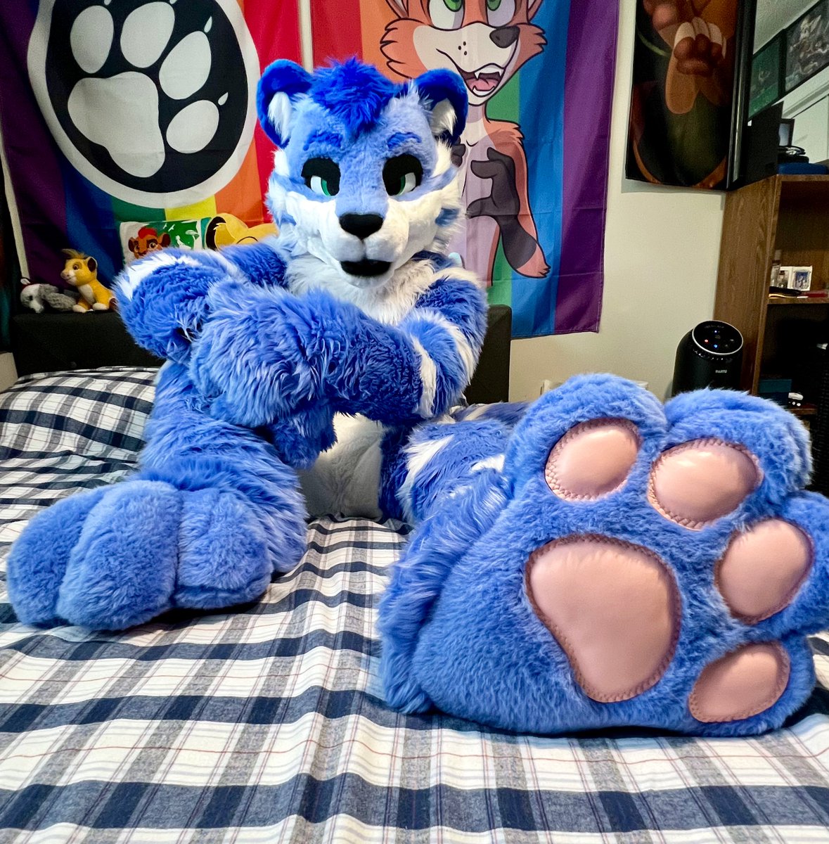 TybaricTiger's tweet image. You like paws don’t you 😏🐾 

📸: @SnepcubSakai