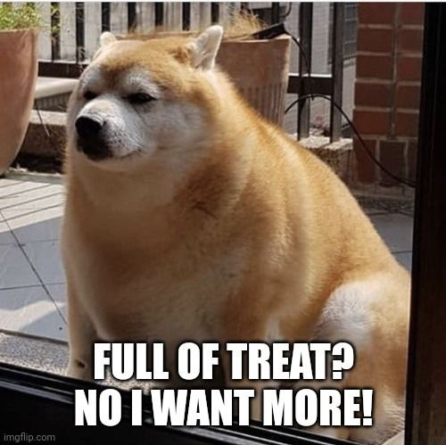 treatwoof's tweet photo. @Shibtoken $TREAT https://t.co/A5cpXRLaLO