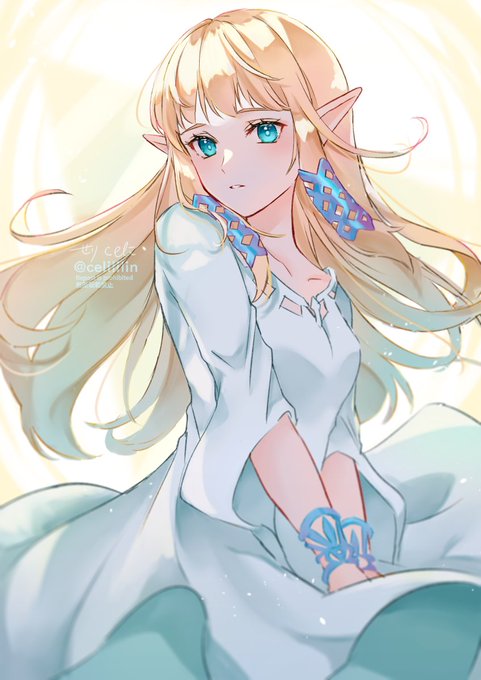 「princess zelda」Fan Art(Latest｜RT&Fav:50)｜3pages