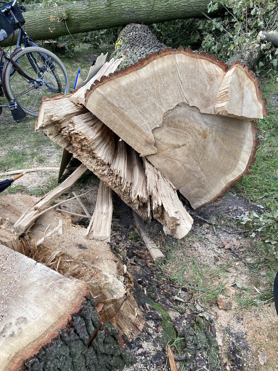 Ende Gelände Münster tweet media