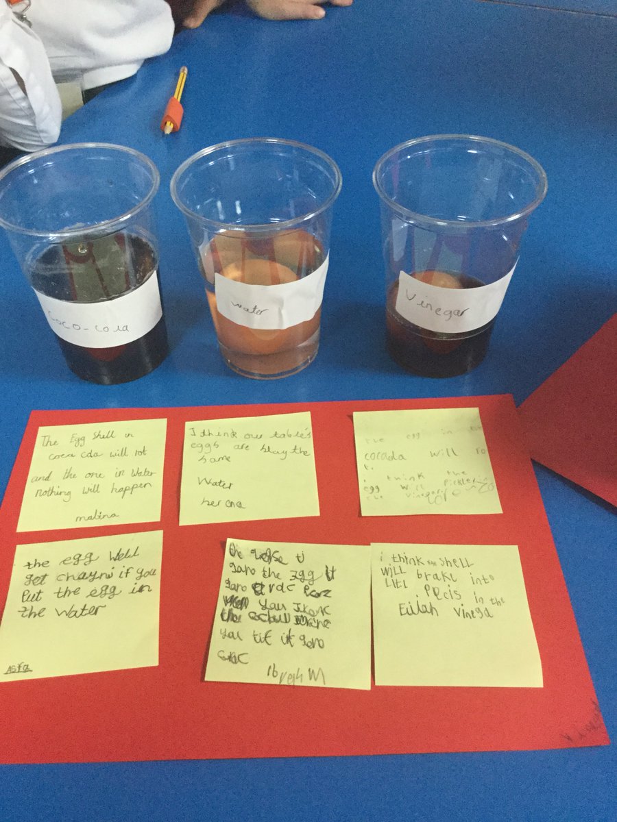 Mrs Bradbury tweet media