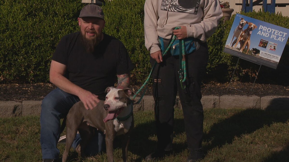 Local 12/WKRC-TV (@local12) on Twitter photo Corbin is a social butterfly who needs an active home or another active dog to get the sillies out. <a href="/CincyAnimalCARE/">Cincinnati Animal CARE</a>
tinyurl.com/5n9a7ben Corbin is a social butterfly who needs an active home or another active dog to get the sillies out. <a href="/CincyAnimalCARE/">Cincinnati Animal CARE</a>
tinyurl.com/5n9a7ben