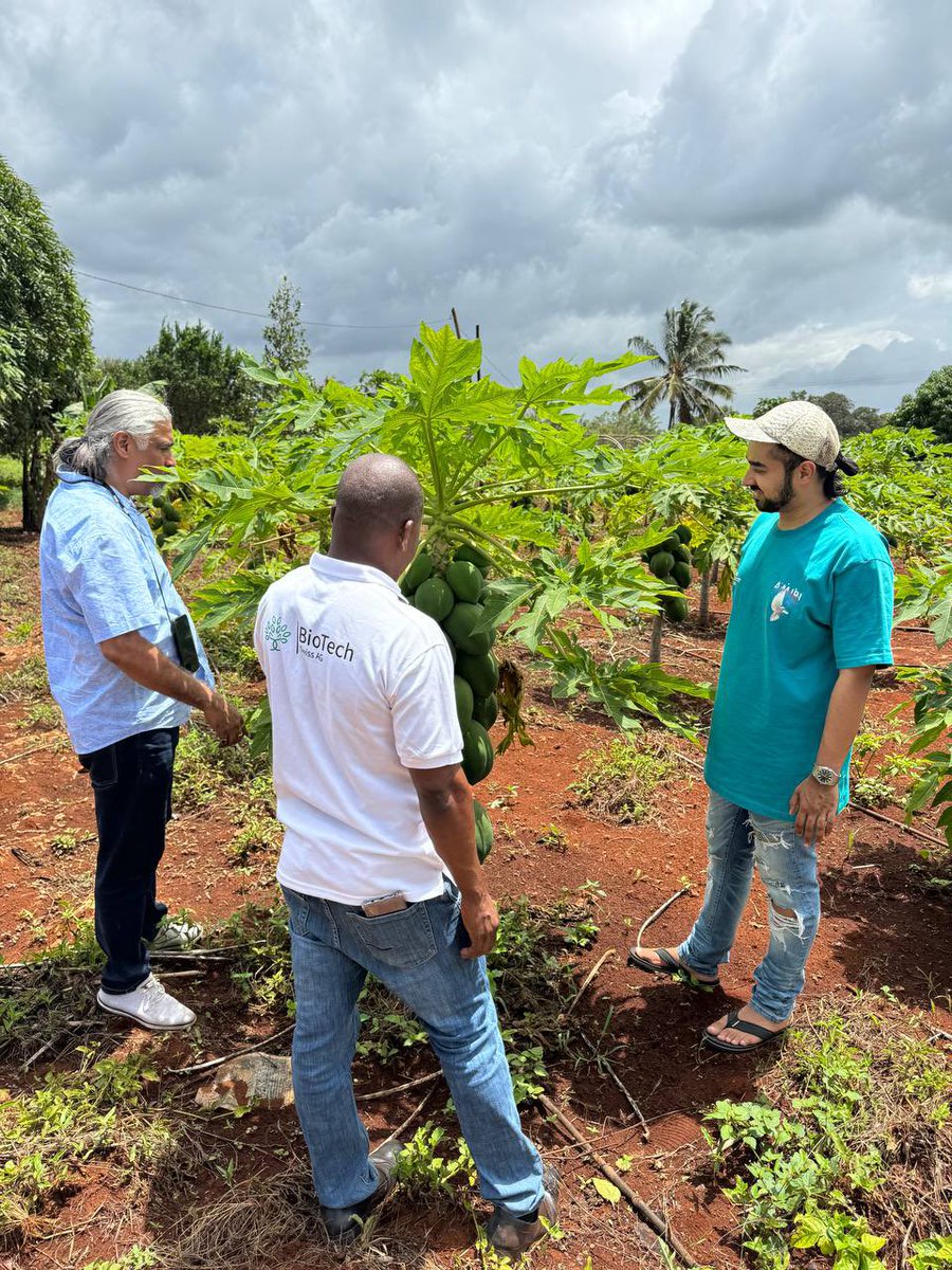 With dad helping my “children” grow.

With my investment in BioTechSwiss.ch 

I am now also a farmer 🧑‍🌾