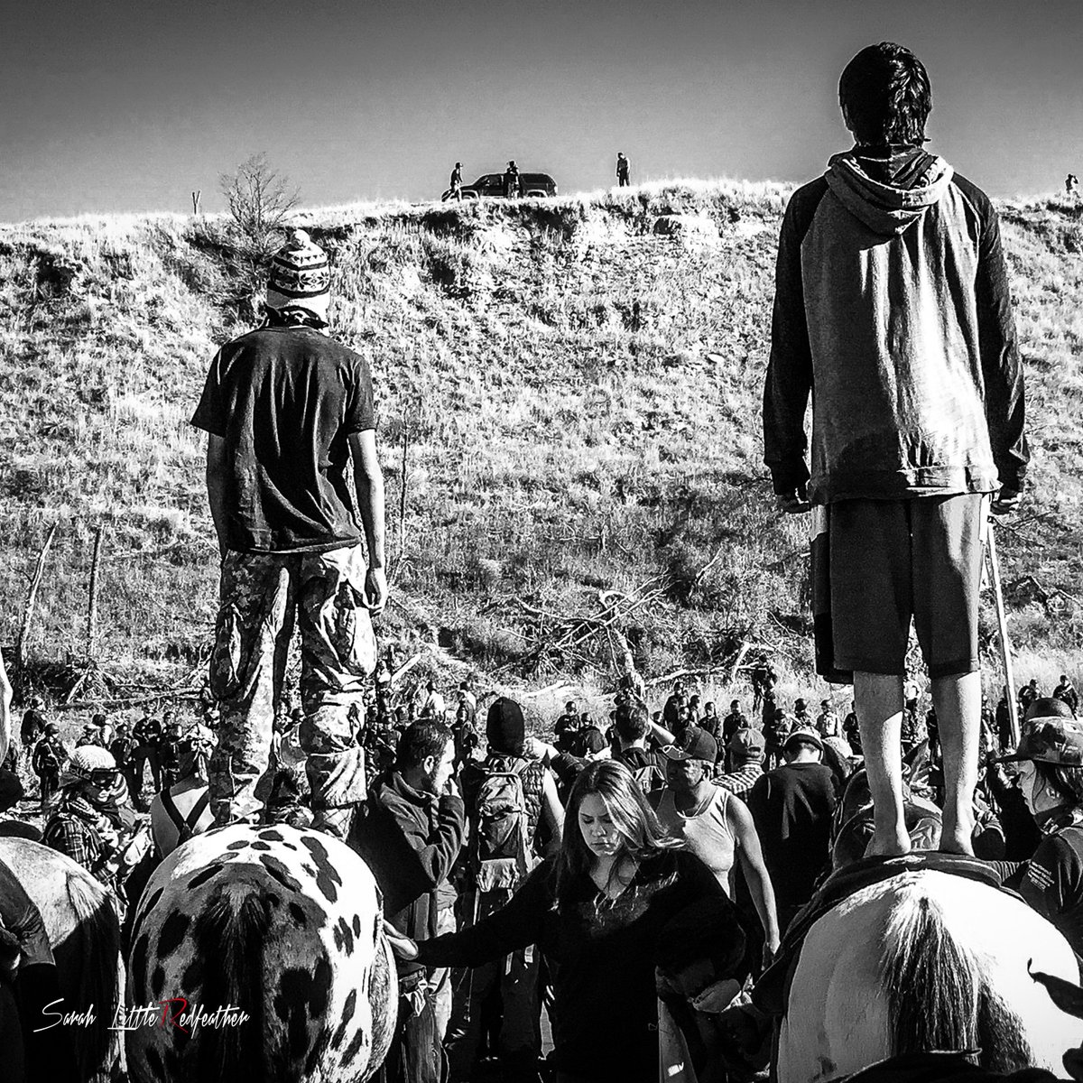 WinonaLaduke's tweet image. Celebrating Indigenous Peoples' Week ... Looking forward to seeing you this Thursday for our Grand Opening. Everyday is Indigenous Peoples' Day at Giiwedinong Museum.
#horsenation #defendthesecond #giiwedinong 

RSVP Here  giiwedinong.org/events/grandop…
Artwork by Sarah LittleRedfeather