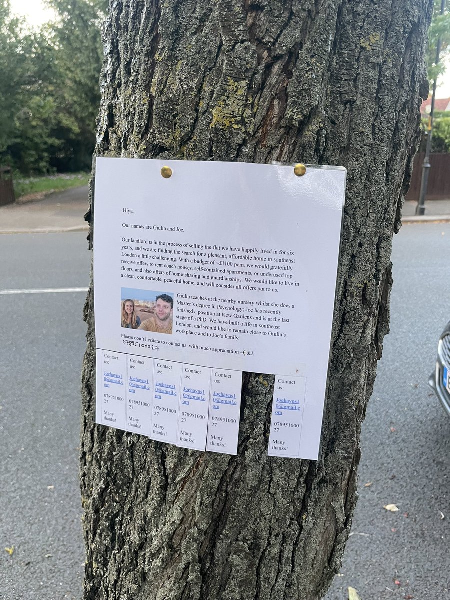 The London rental market is so tight that people are putting begging letters on trees. #dulwichvillage #rentalmarket