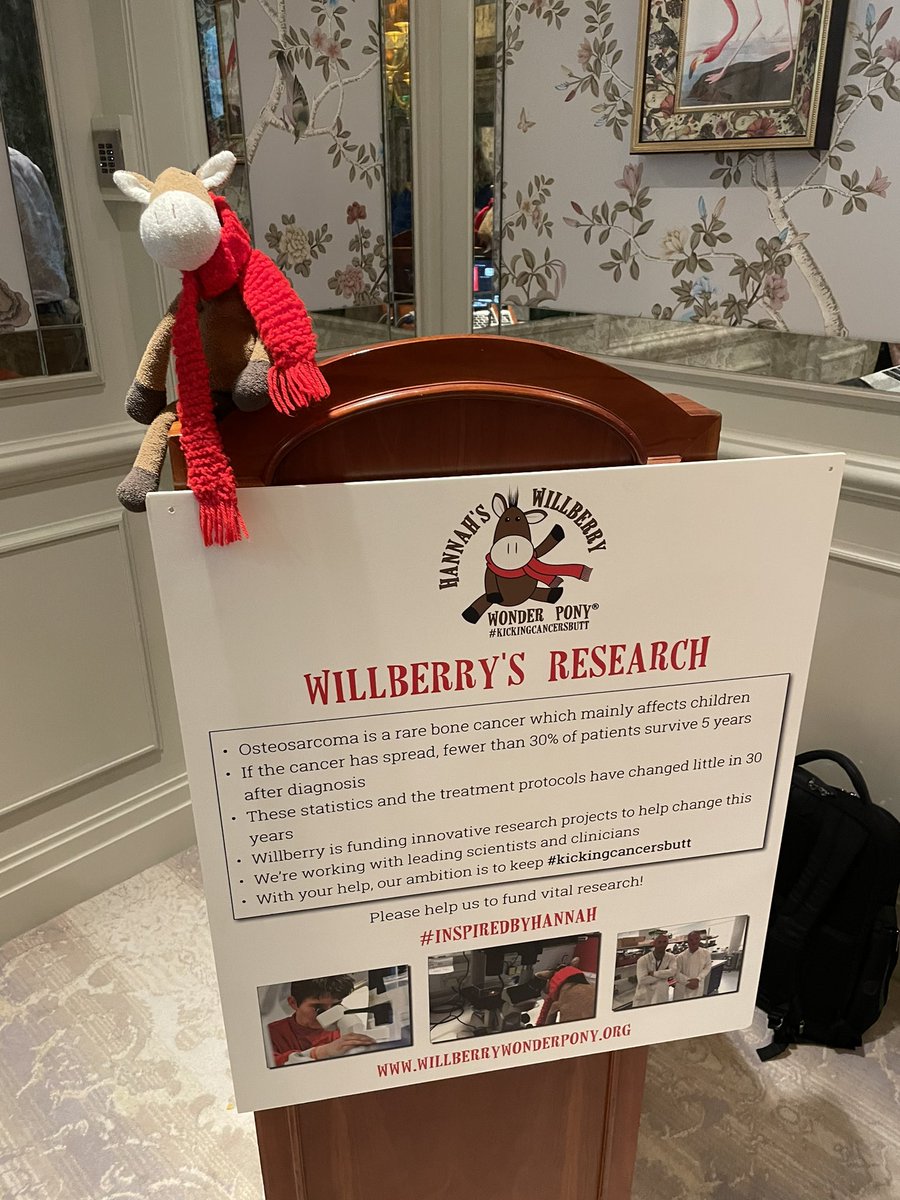 Today marks the start of #BoneCancerAwarenessWeek 🦴🦴 to start the week off, Willberry would like to send a huge THANK YOU to everyone who supports him to keep #kickingcancersbutt