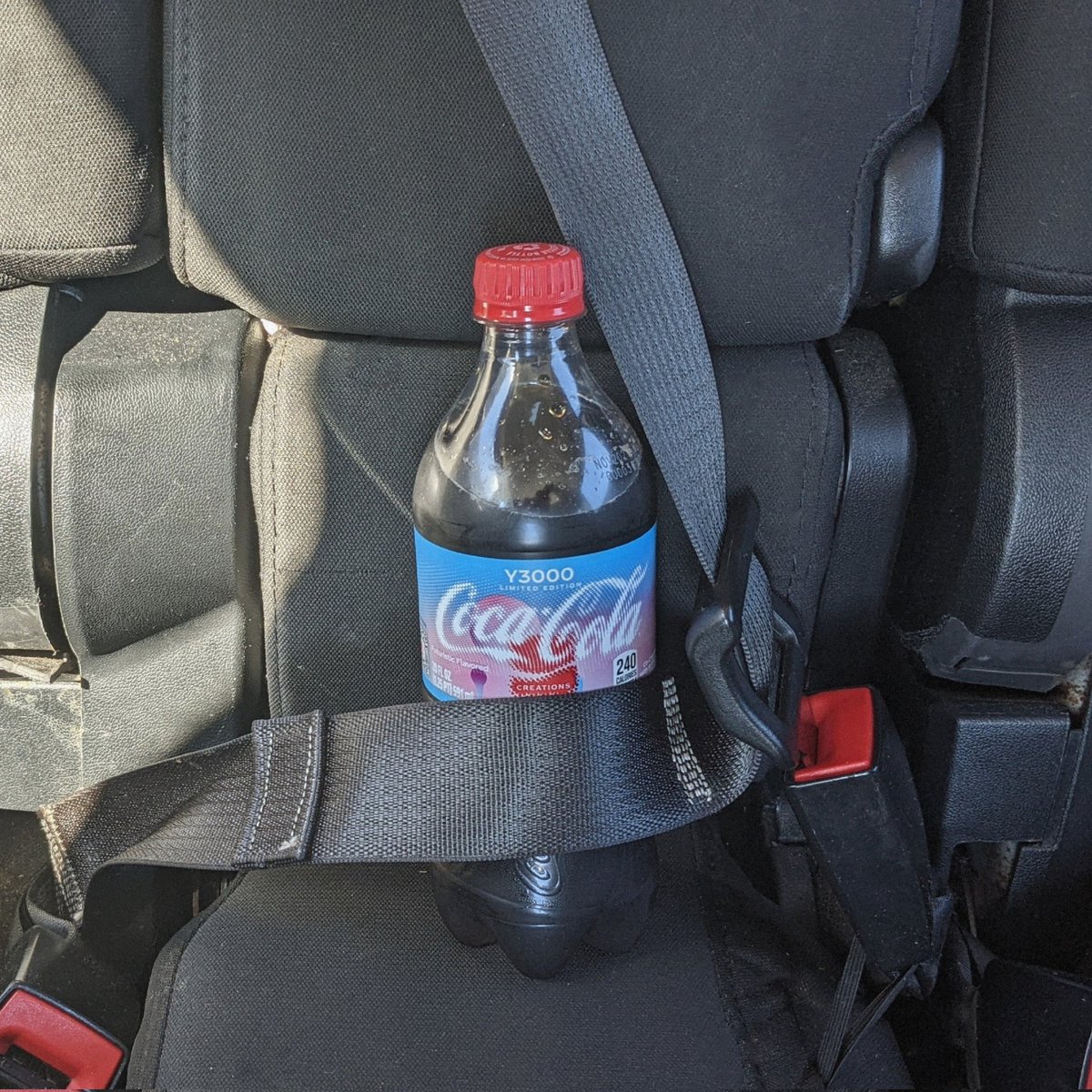 Charlotte Phoenix tweet media