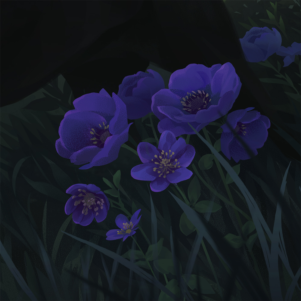 Leksotiger's tweet image. Some shadow flowers