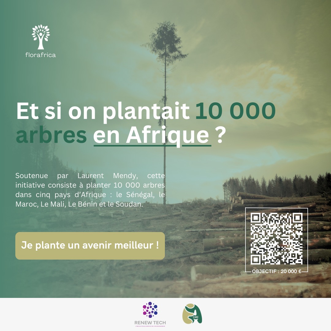 Renewtechfr's tweet photo. Florafrica 🌳: Une révolution verte dans 5 pays d'Afrique (Sénégal, Maroc, Guinée, Bénin, Soudan).

Un seul arbre séquestre 25 kg de CO2/an et 100 peuvent transformer un village. Imaginez l'impact de 10 000 arbres! 

#Florafrica #RenaissanceAfricaine https://t.co/HjCNR2p0qp