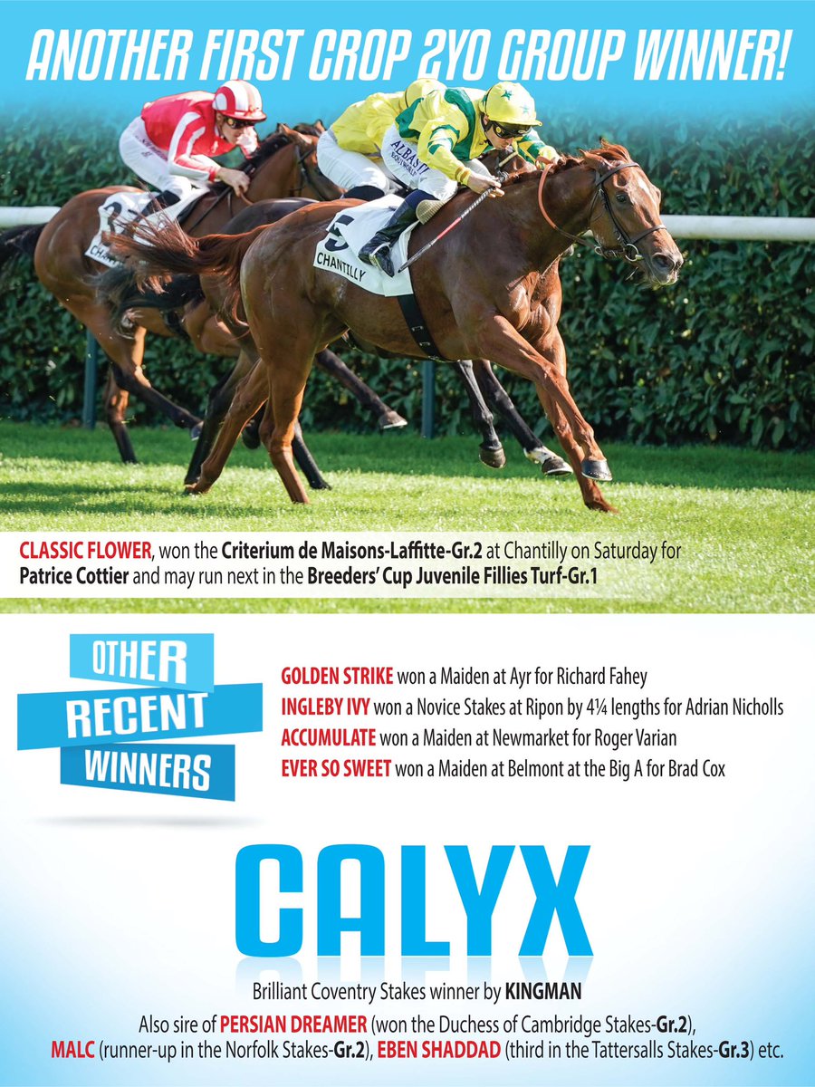 coolmorestud's tweet image. Another First Crop 2YO Group Winner for CALYX! #CoolmoreSires #HomeOfChampions