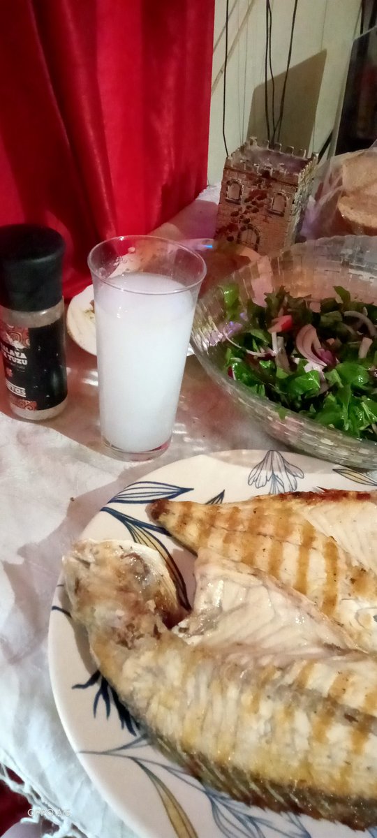 Fakat #salata bir güzel yapmışım #dem olsun #rokarakibalik