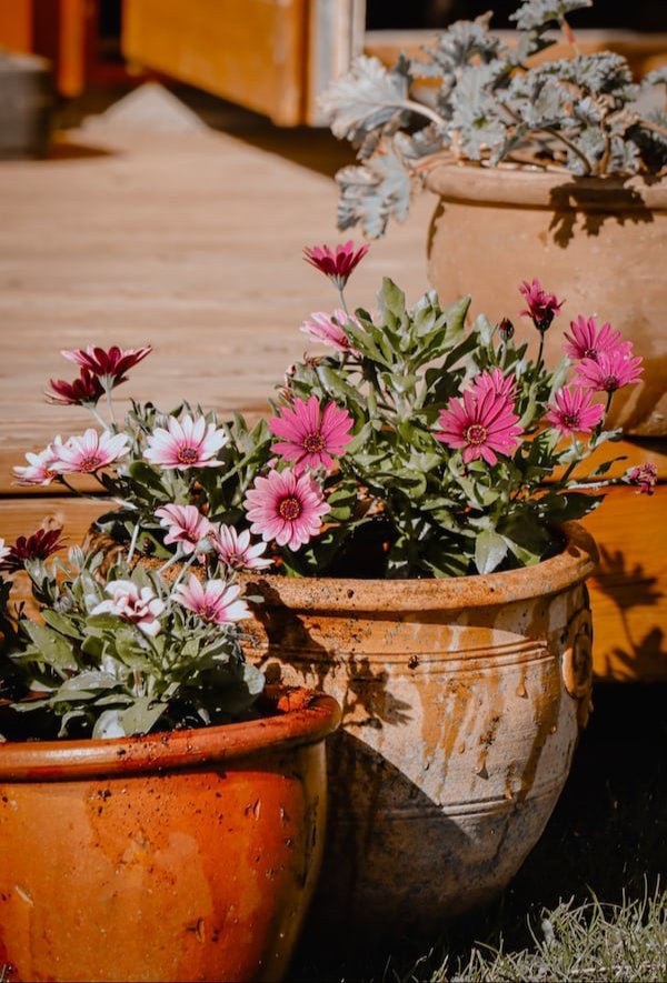 🧡💜💚

Happy Monday, beautiful and safe new week dear friends!🕊
📸: Emblarynke.