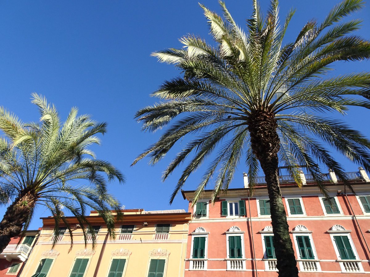 pac1610's tweet photo. Such a lovely place to spend a Sunday morning! (Photos from my visit to #Lerici two weeks ago)💙🌴⛵️ @ThePhotoHour @StormHour @StormHourMark @lebalzin @YourAwesomePix @YoushowmeP #ePHOTOzine #PercyByssheShelley #BayofPoets #Italia https://t.co/W1PzO26DIE