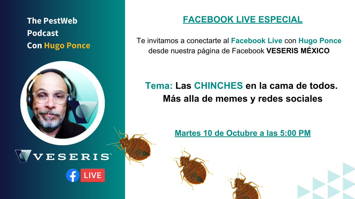 ¡No te pierdas el Facebook Live ESPECIAL DE CHINCHES de PestWeb Podcast con Hugo Ponce! – Mañana a las 5pm hora CDMX 😊