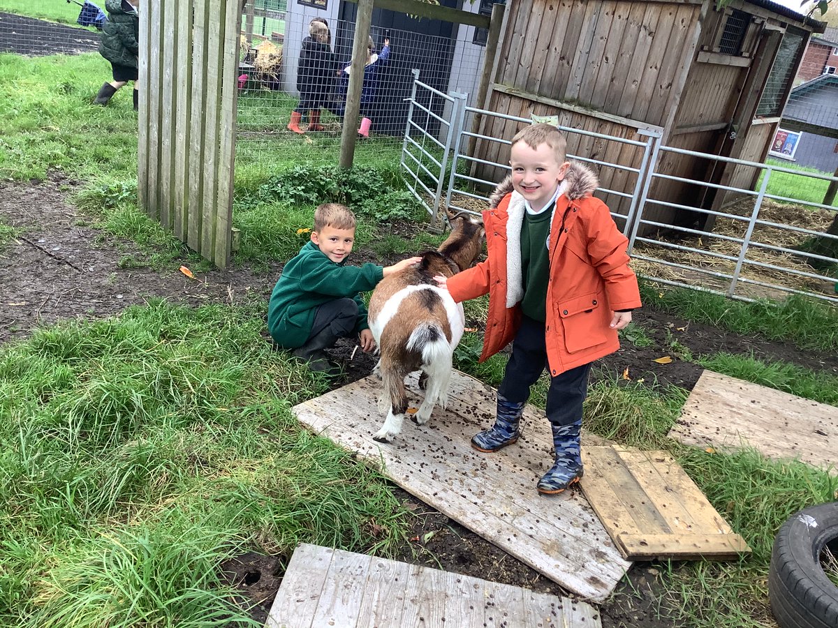 FarmSjsb's tweet photo. Today, @SJSBLaudatoSi club learned about bats. Also we spent some the on the farm cleaning up the chicken coop and showing them our care.@StJosephStBede https://t.co/poNV9yA6FZ