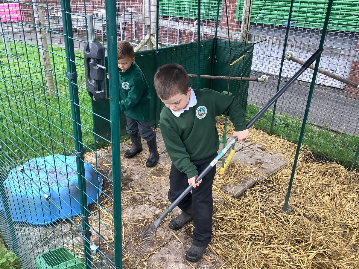 FarmSjsb's tweet photo. Today, @SJSBLaudatoSi club learned about bats. Also we spent some the on the farm cleaning up the chicken coop and showing them our care.@StJosephStBede https://t.co/poNV9yA6FZ