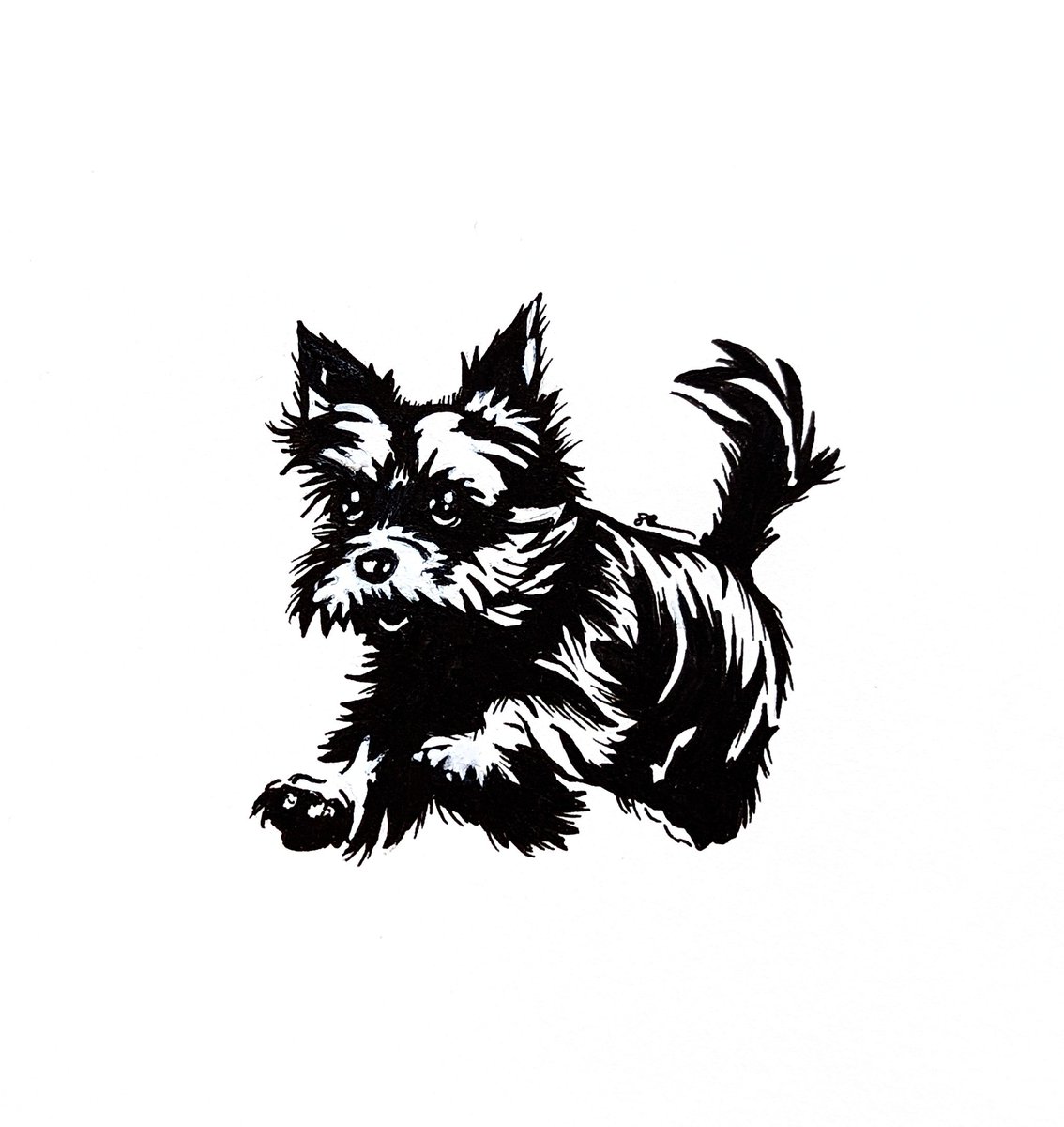 Wingria's tweet photo. Day 9 - Dedicated to my two #bouncy Yorkie babies. Skye &amp; Belle. Also in memory of their momma Bonnie who was our first. We miss you everyday my little love ❤️ @inktober @inktober_2023 #inktober2023day9 #inktober2023 #inktober #yorkie #yorkielife #yorkielove #yorkielovers https://t.co/ERQMM7fnlR