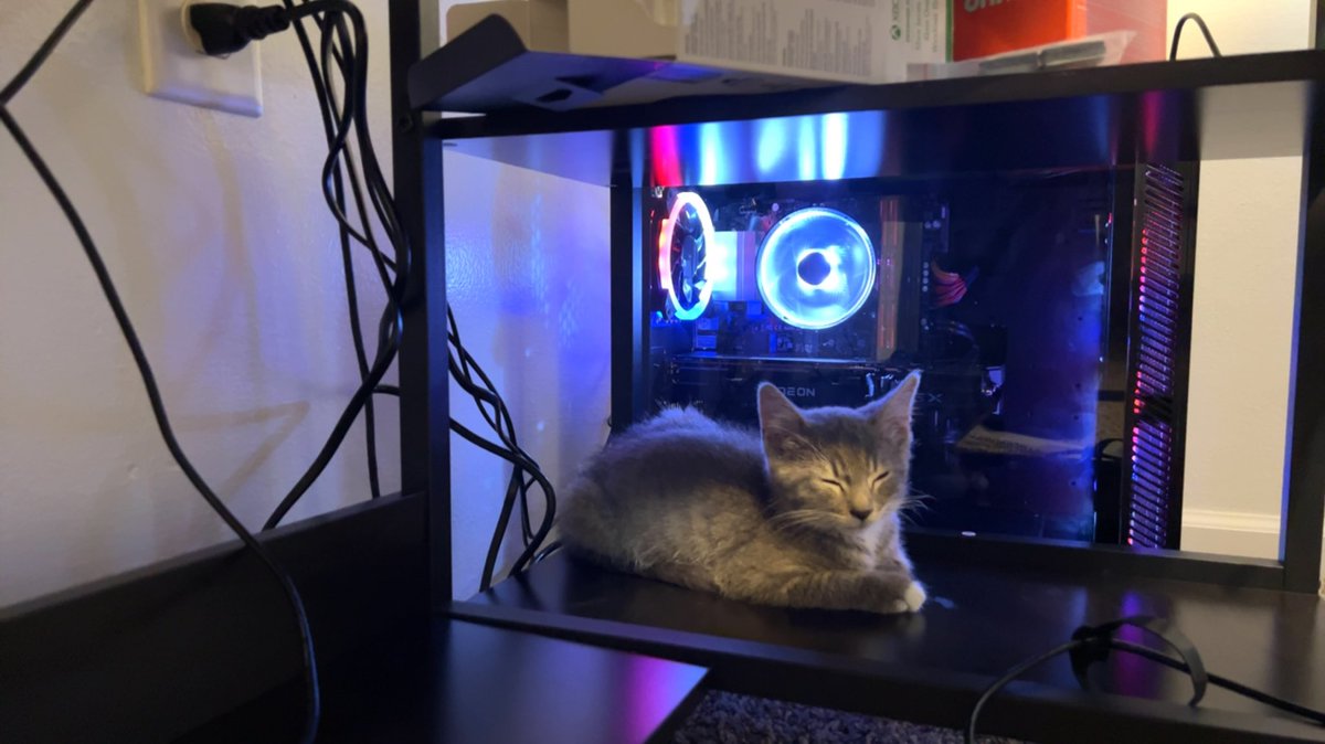 Chase2theFinish's tweet image. Currently Setting up a GTAV FIVEM Server - we will be opening up to new members in the coming week. Looking for those interested in straight DOJ RP.

Until then - enjoy my cat.

#FiveM #DOJRP #gtarp #gtavrp #gta5 #cat