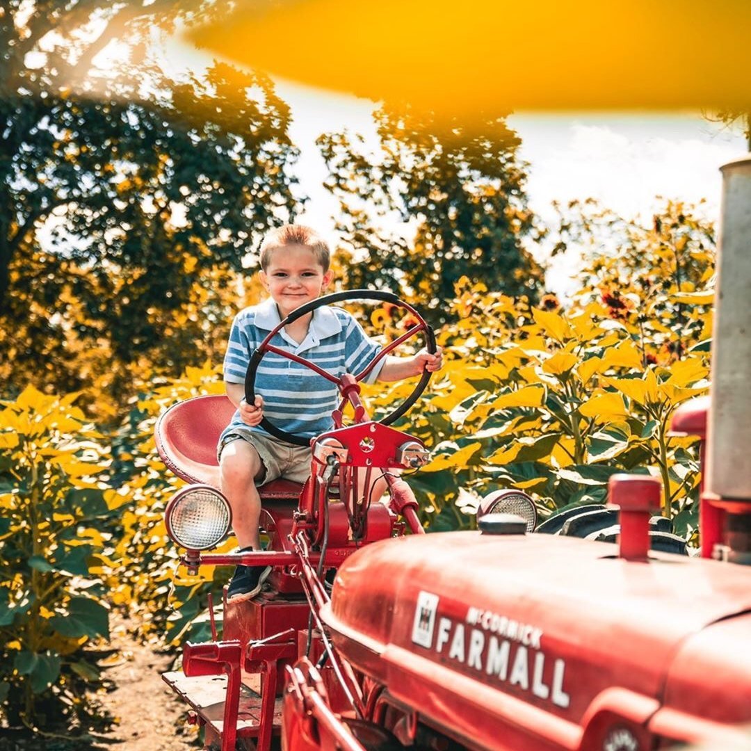 Visit_NJ's tweet photo. POV: Fall in the Garden State. π
πJohnsons Locust Hall Farms, Jobstown, NJ
.
.
.
#JohnsonsLocustHallFarms #JohnsonsFarms #NJFresh #LocalFarms #PumpkinPicking
π·: @locusthall (via Instagram) https://t.co/PKGFS9bHBK