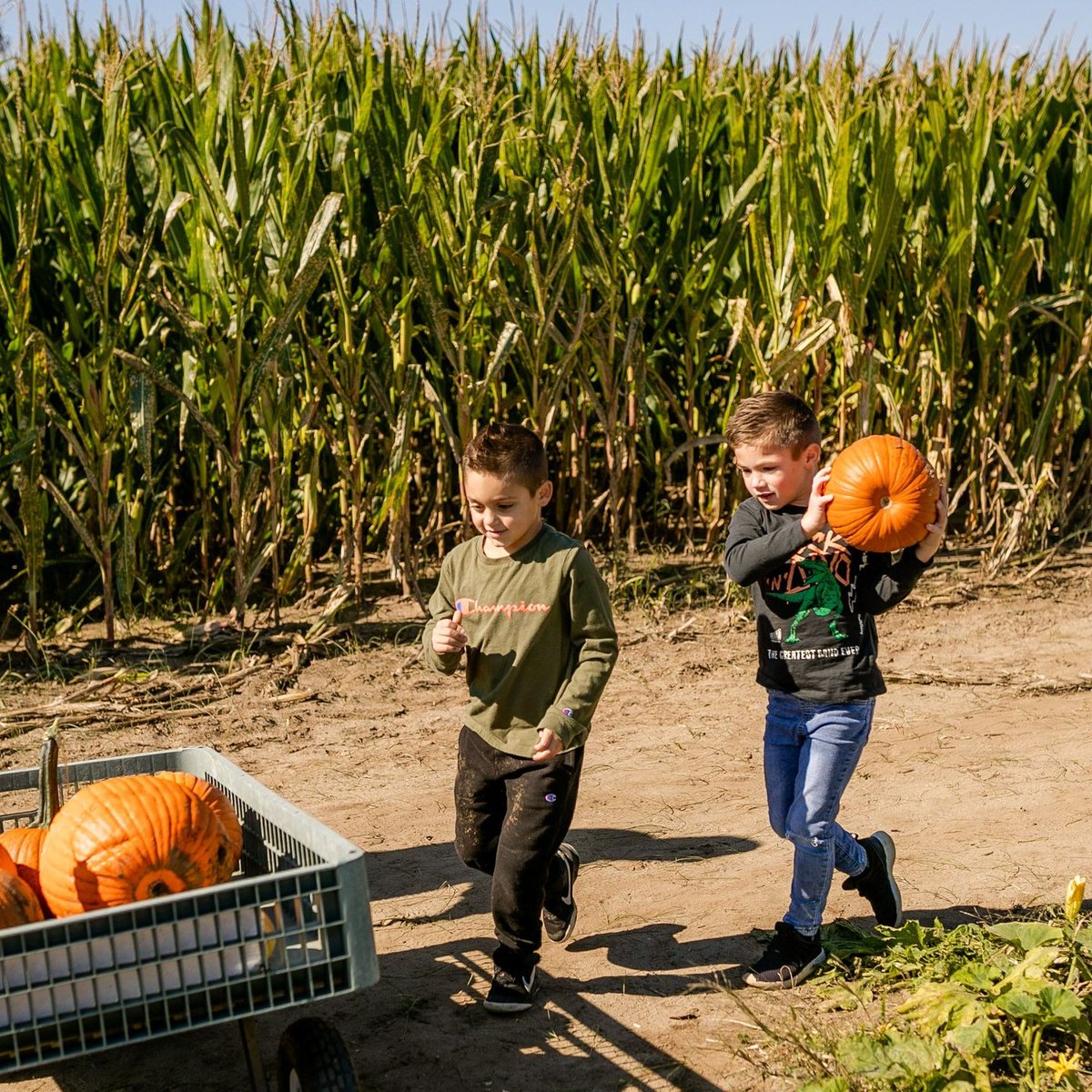 Visit_NJ's tweet photo. POV: Fall in the Garden State. π
πJohnsons Locust Hall Farms, Jobstown, NJ
.
.
.
#JohnsonsLocustHallFarms #JohnsonsFarms #NJFresh #LocalFarms #PumpkinPicking
π·: @locusthall (via Instagram) https://t.co/PKGFS9bHBK