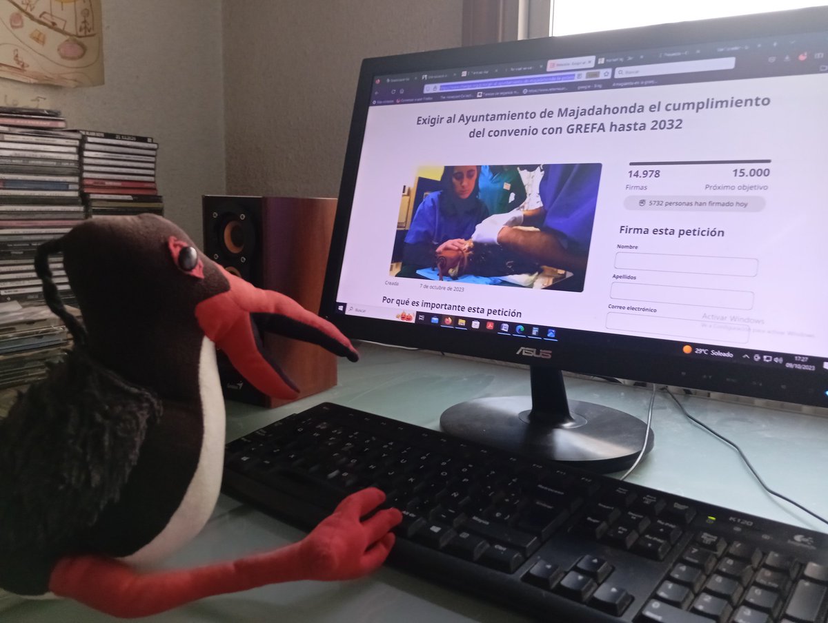 AverAves's tweet photo. Cigu, nuestra mascota, está muy triste. Lee como a @GREFA_Fauna, donde a ella la cuidaron y le dieron tanto amor, el @MajadahondaAyto les ha dicho que tienen que irse de allí en menos de tres meses.
No se lo puede creer. #GREFAsequeda y abrimos hilo
https://t.co/XaH3Uc7nlS https://t.co/OfOujxZ0mB
