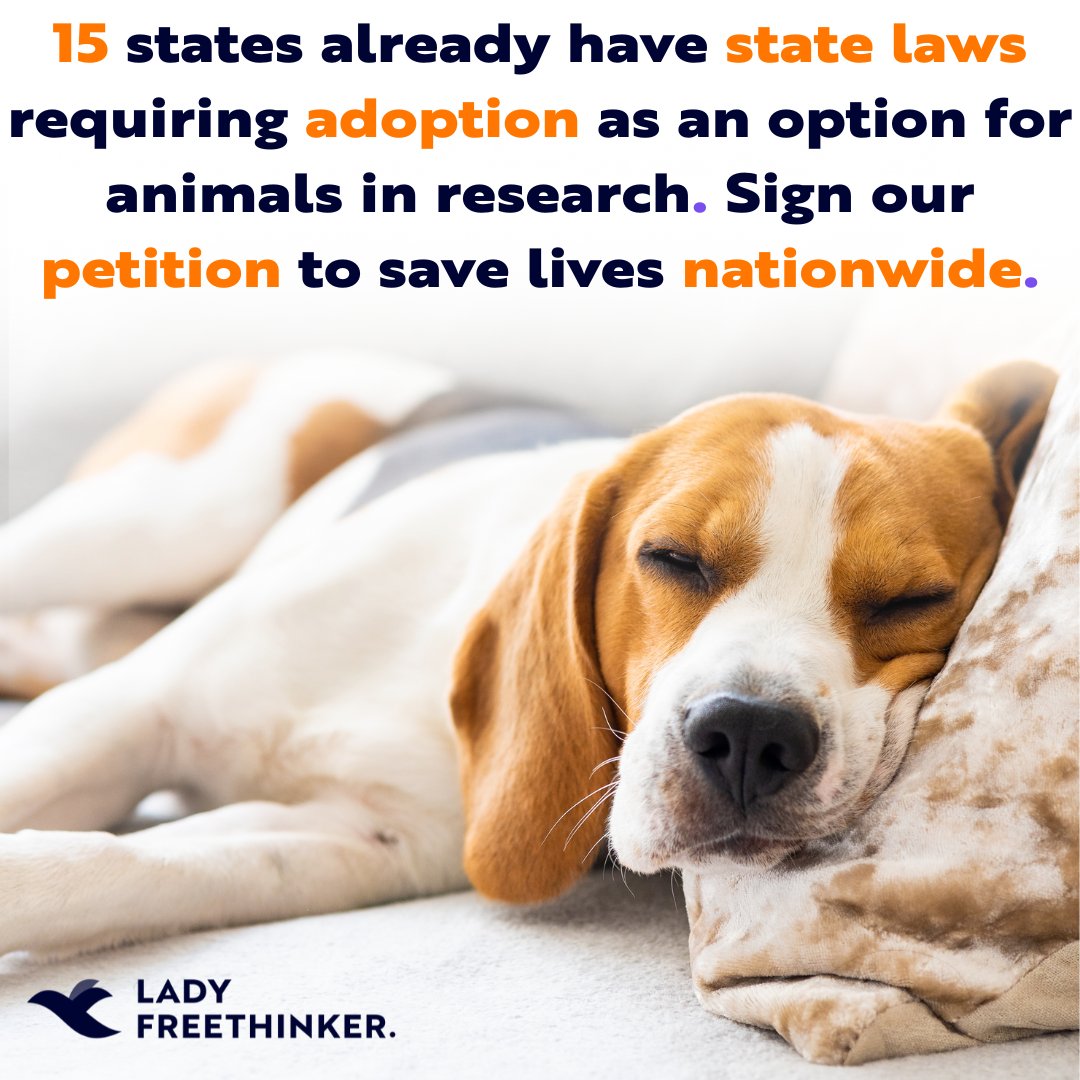 Shouldn’t dogs and cats exploited in cruel experiments be given a second chance at life? The #CAREact would let #cats and #dogs used in #animalexperiments be adopted into #foreverhomes instead of being KILLED.

#SupportTheCAREact ➡️ ladyfreethinker.org/sign-allow-ani…

#companionanimals