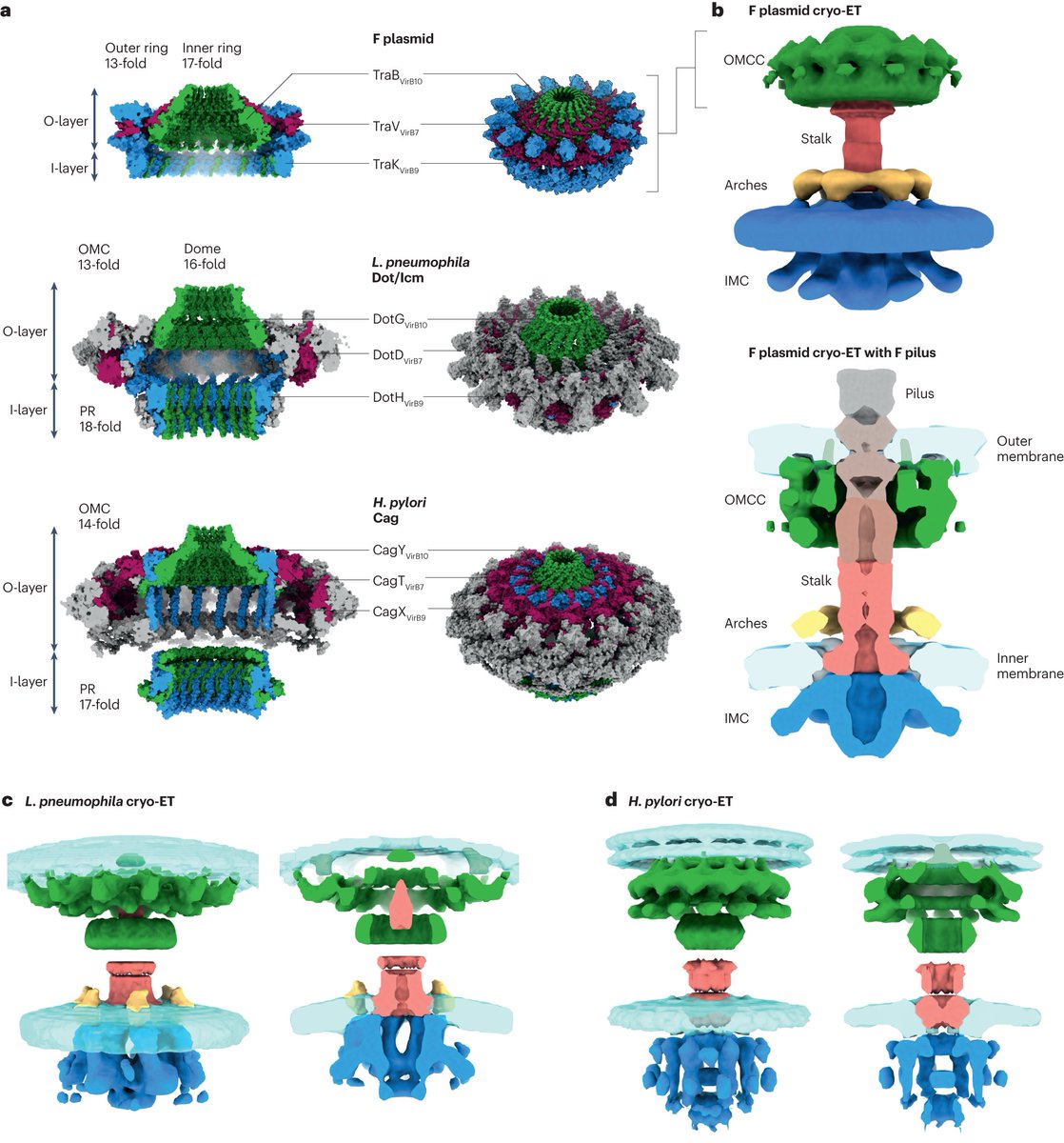 Structural and functional diversity of type IV secretion systems

rdcu.be/dn7Jk

Costa et al. review type IV secretion systems in Gram-negative bacteria, exploring their structures, specialized functions, biogenesis and localization.