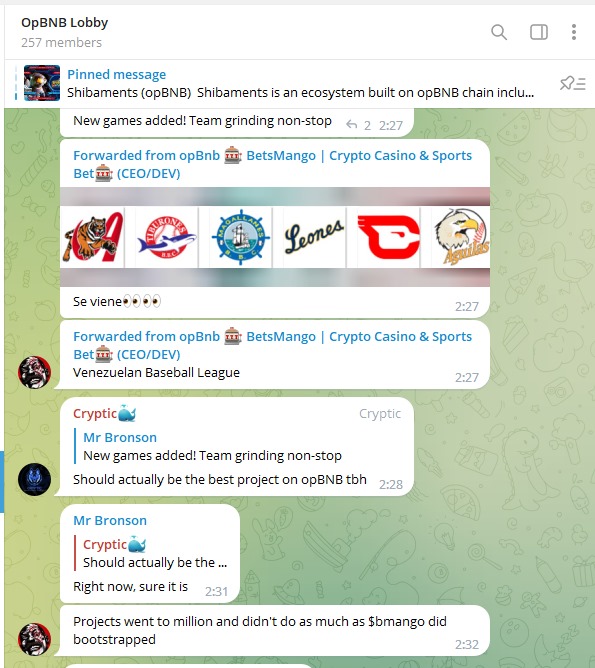 bets_mango's tweet photo. It's truly heartwarming to see people championing our project without any prompt. It fuels our drive to work even harder and deliver more outstanding features! 💪❤️ 

#Gratitude #DrivenByCommunity #OnwardsAndUpwards #BetsMango #shibarium #cryptocurrency #VenomNetwork #opbnb #bnbchain #rangers