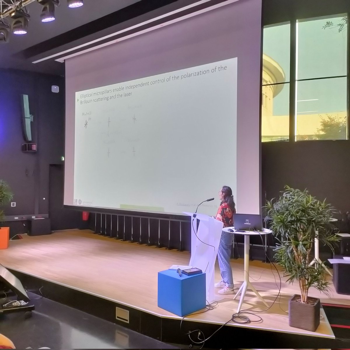 Daniel Lanzillotti Kimura tweet media