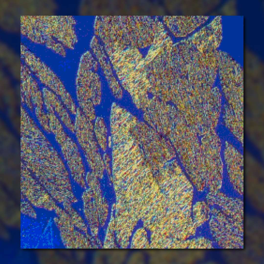 ASMInternatnl's tweet image. 📸 October's #ImageoftheMonth! This stunning image features a close-up view of 431 stainless steel, etched with modified Murakami's technique at a magnification of 400X using digital image correlation. Courtesy of Pace Technologies. #MaterialsMonday #MaterialsScience #Microscopy