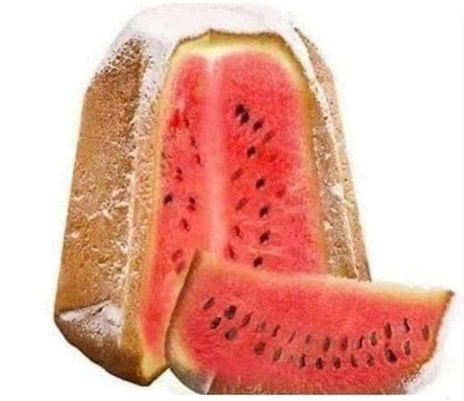 VolpeReal's tweet image. Il pandoro quest'anno