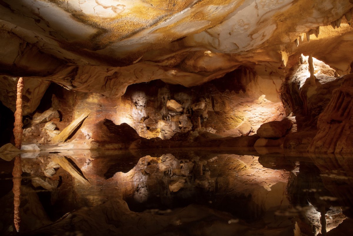 🧒🏼 👀 #Marseille : 15 mois après l'ouverture de la @grotte_cosquer, cette dernière fête son millionième visiteur ! 📢 Article disponible en audio ! bit.ly/3rd5m1H @MaRegionSud @RenaudMuselier #Tourisme @CRT_RegionSud #ProvenceAlpesCoteDAzur