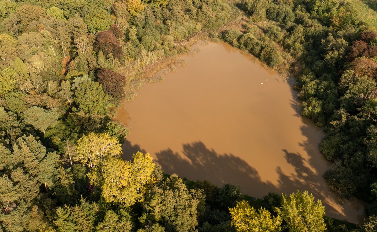 EcologyRivers's tweet photo. Selbrigg pond today after lots of sediment runoff from a nearby construction. This was nearly gin clear a few weeks ago when we were filming Pike. The river Glaven has also been hugely affected by this event. Dreadful to see. https://t.co/H5P0FIycDw